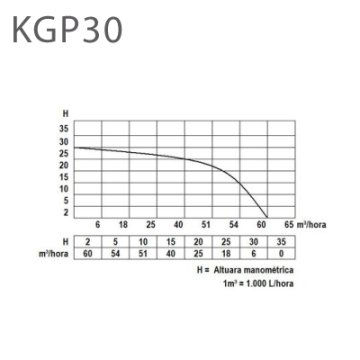 BENZ. MOTOPOMP  KGP30
